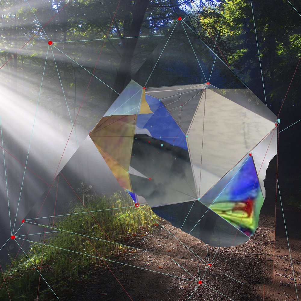 Prisma da Floresta da Luz do Sol de Stefan Fransson
