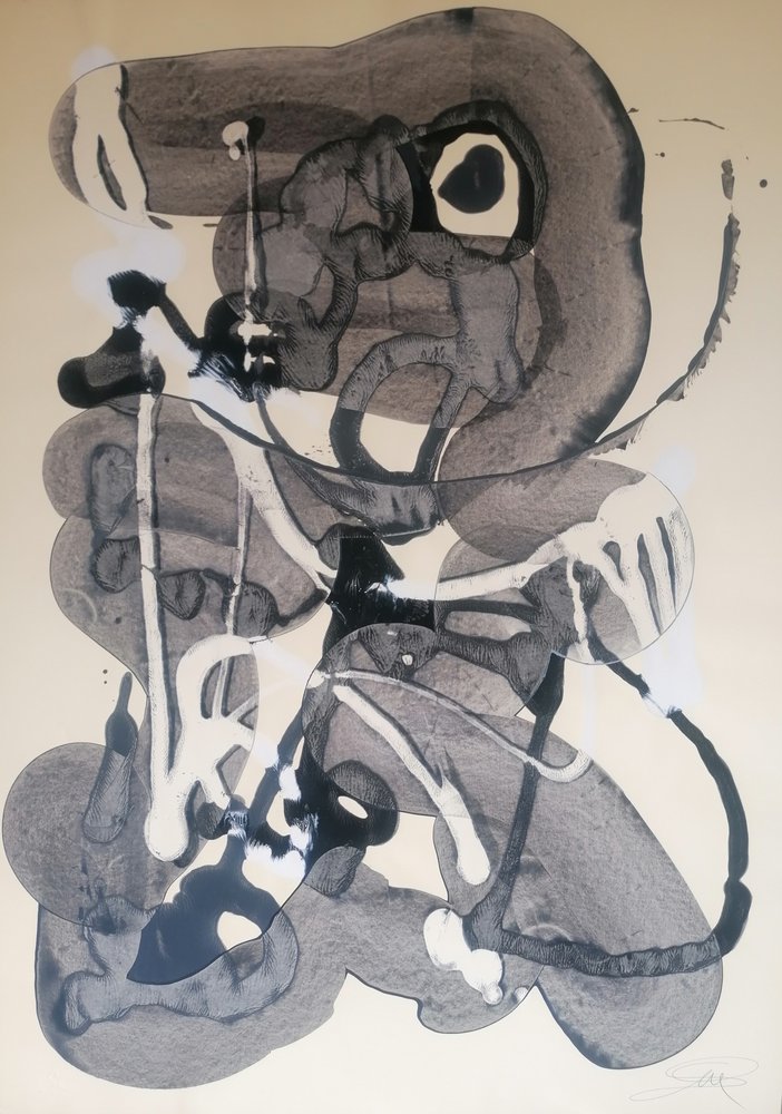 Formas abstratas a tinta de Stefano Mazzolini