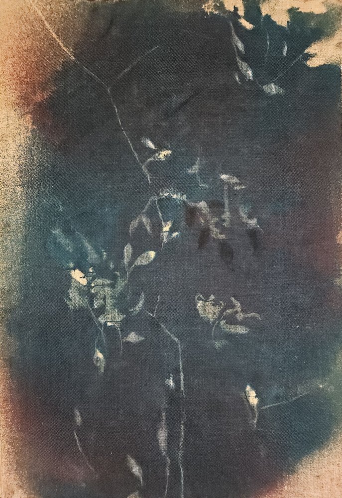 Motivos botânicos azul-escuro de Stefano Mazzolini