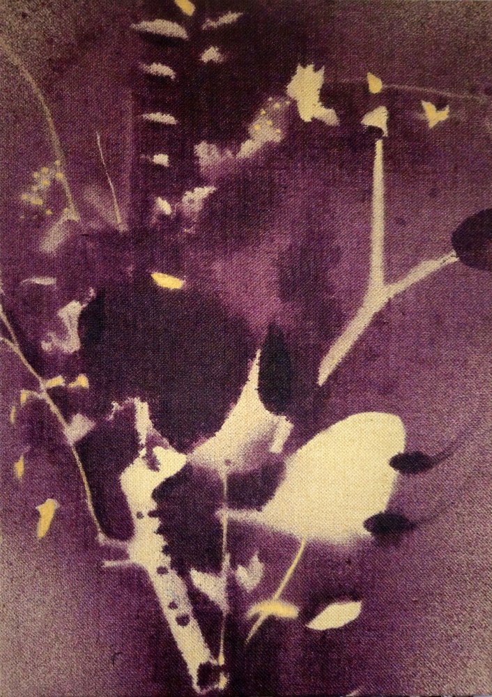 Motivos botânicos em roxo profundo de Stefano Mazzolini