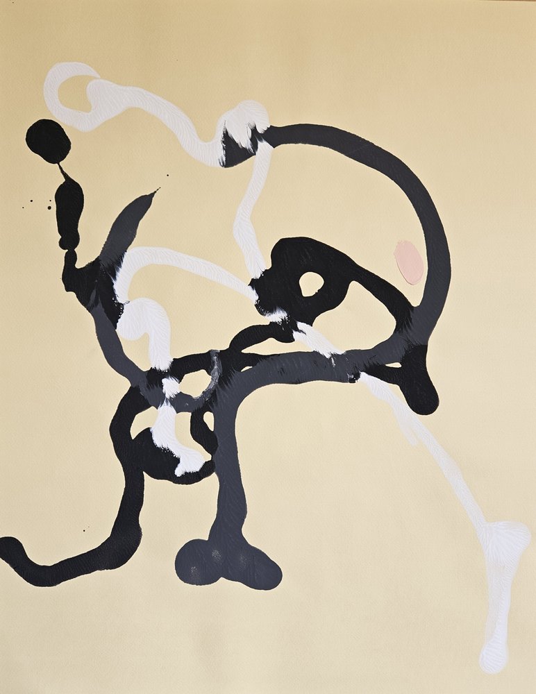 Linhas abstractas fluidas de Stefano Mazzolini