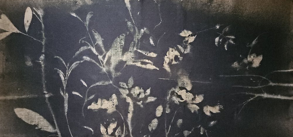 Floração no jardim de sombras de Stefano Mazzolini