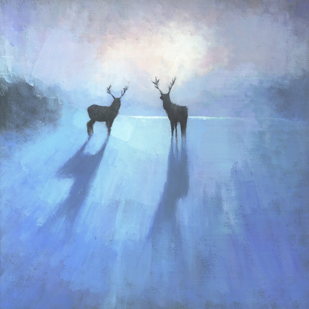 Veados majestosos no inverno de Steve Mitchell