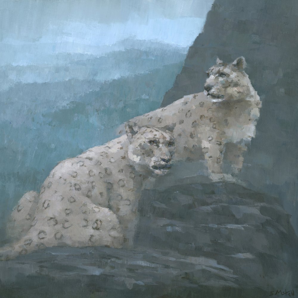  de Steve Mitchell