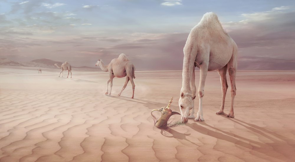  de Sulaiman Almawash