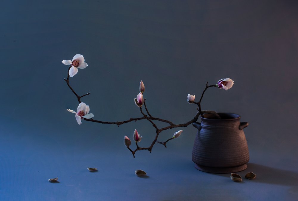 Flor de Magnólia Zen de Summer2016