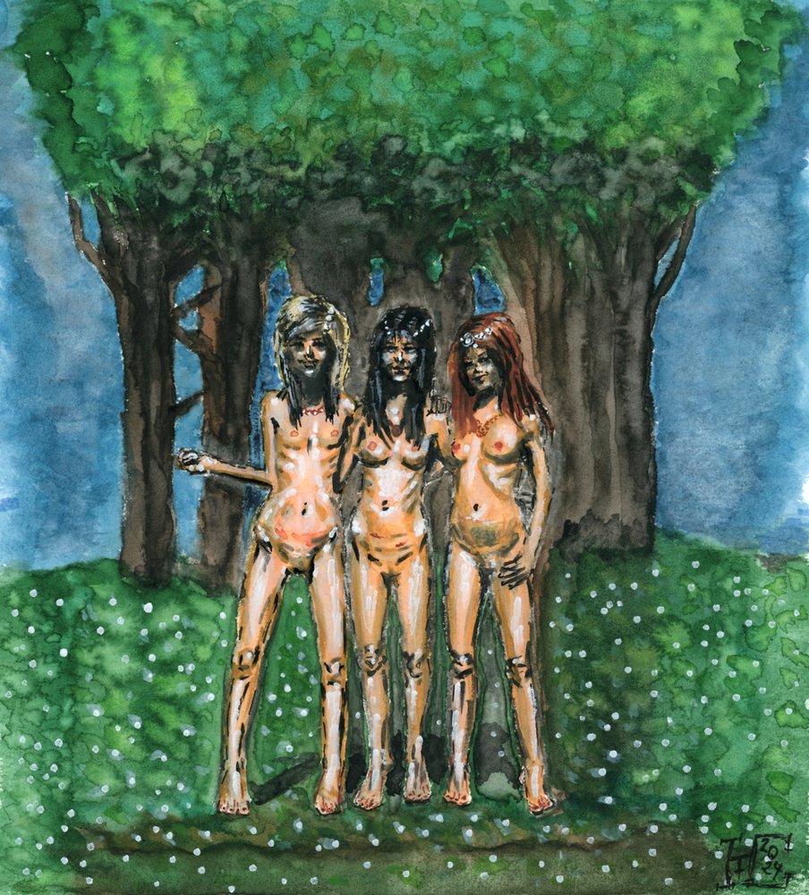 Ninfas Etéreas da Floresta de Tim Hoinkis