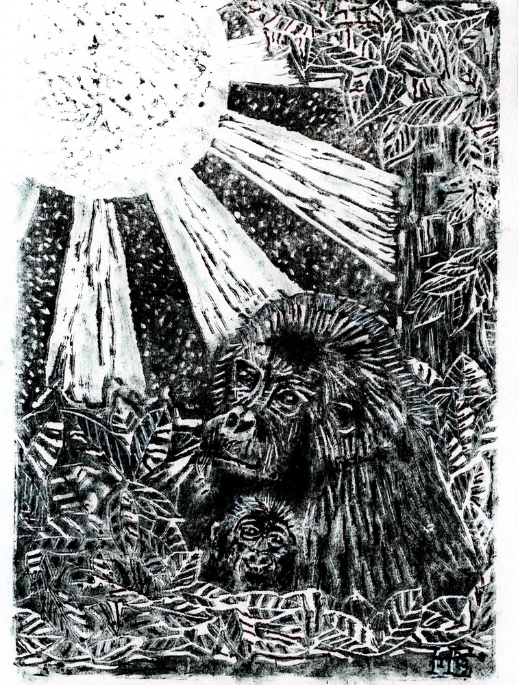 Família de gorilas da selva de Tim Hoinkis