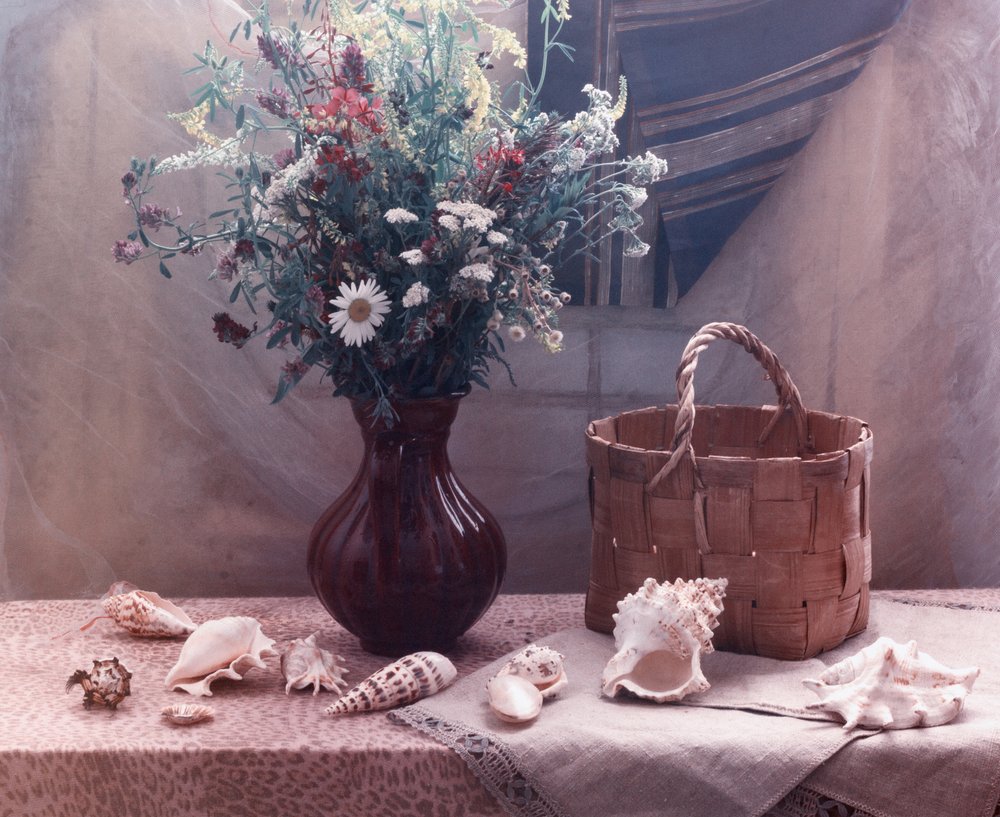 Natureza morta com flores silvestres e conchas de UstinaGreen