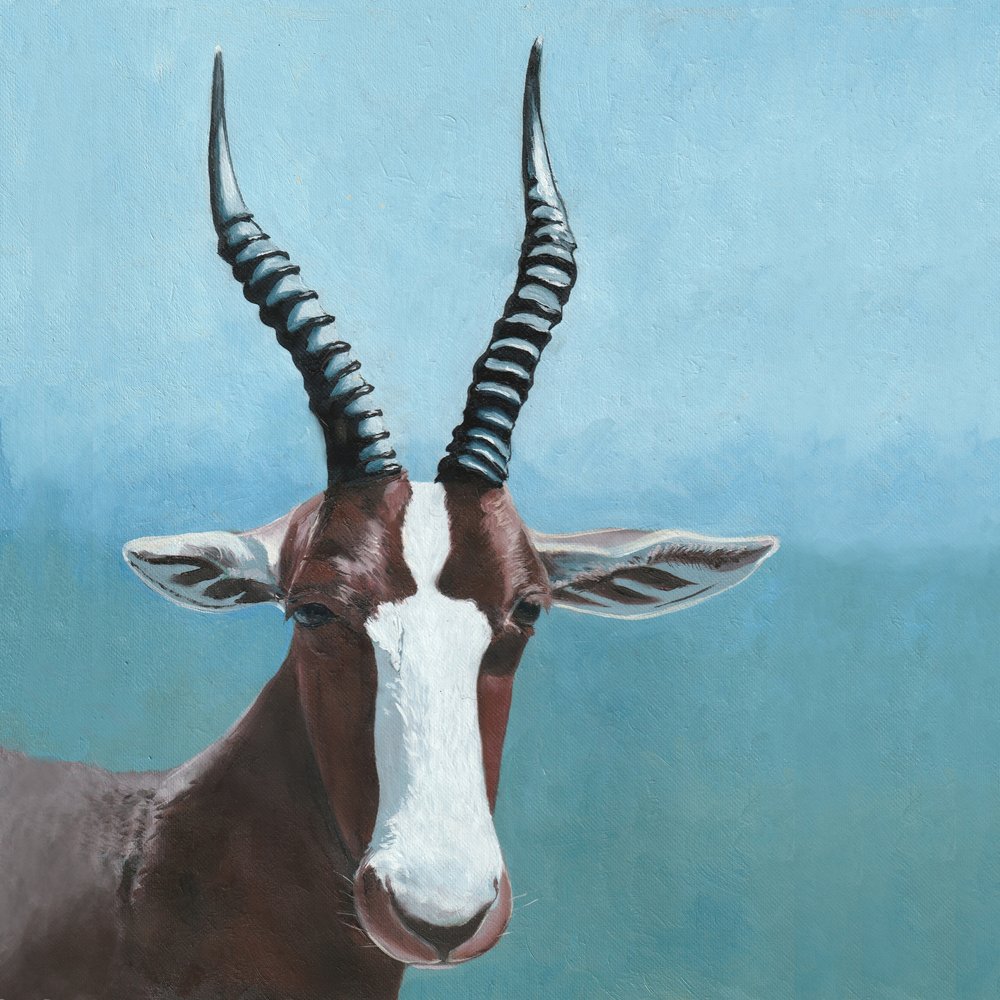 O olhar do antílope blesbok de Viccy Wanliss