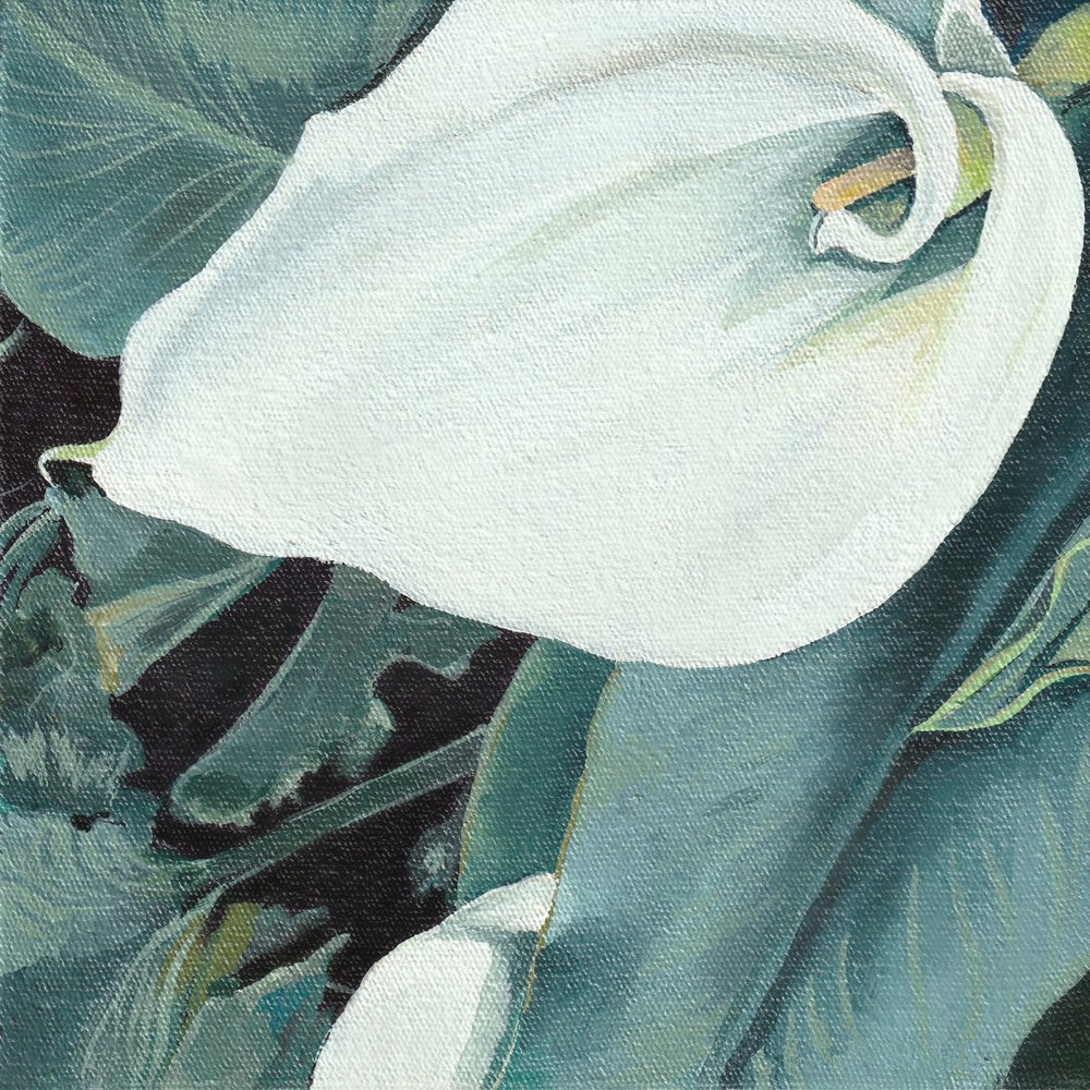 Calla branca elegante de Viccy Wanliss