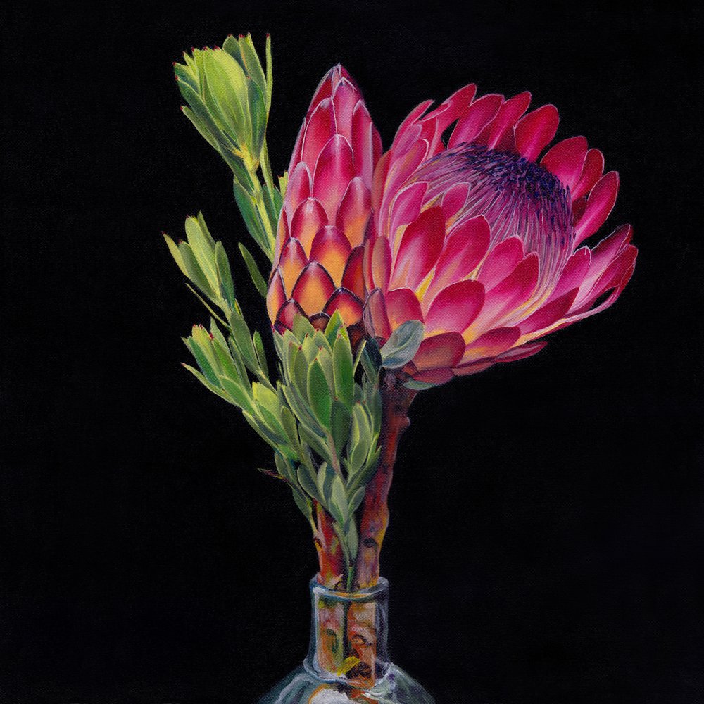 Vasos Pink Protea de Viccy Wanliss