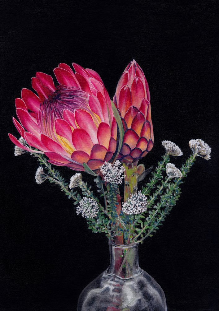 Protea e Blombos, de Viccy Wanliss de Viccy Wanliss