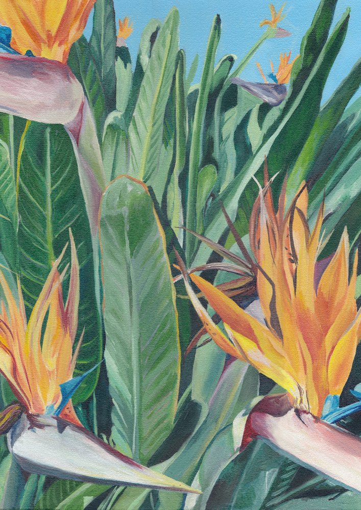 A vibrante ave-do-paraíso de Viccy Wanliss