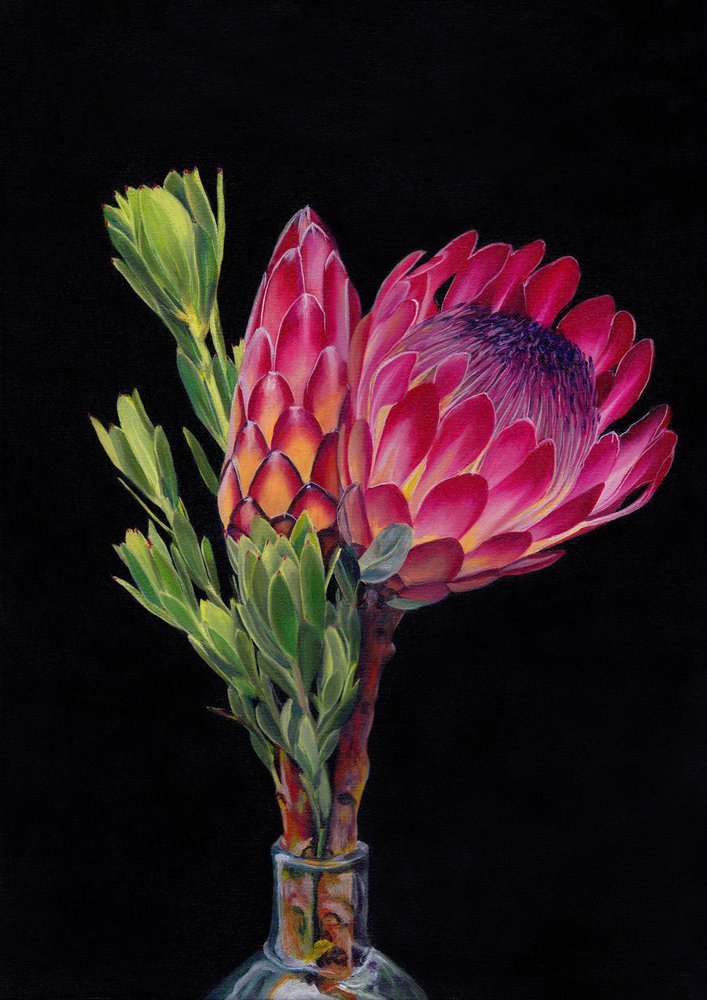 Flor de protea vibrante de Viccy Wanliss