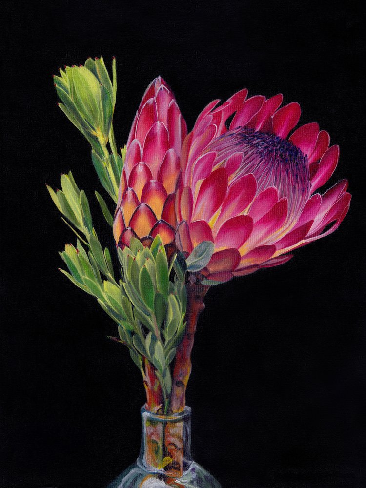 Flores vibrantes de protea de Viccy Wanliss