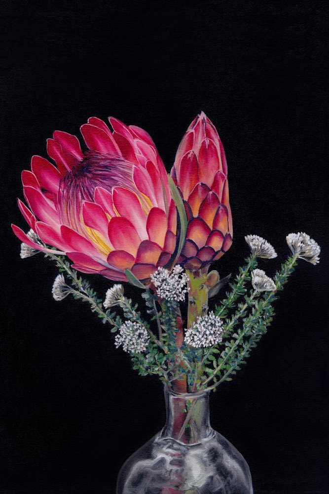 Flores de protea em plena floração de Viccy Wanliss