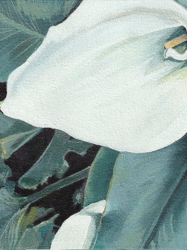 Flor de cala branca de Viccy Wanliss