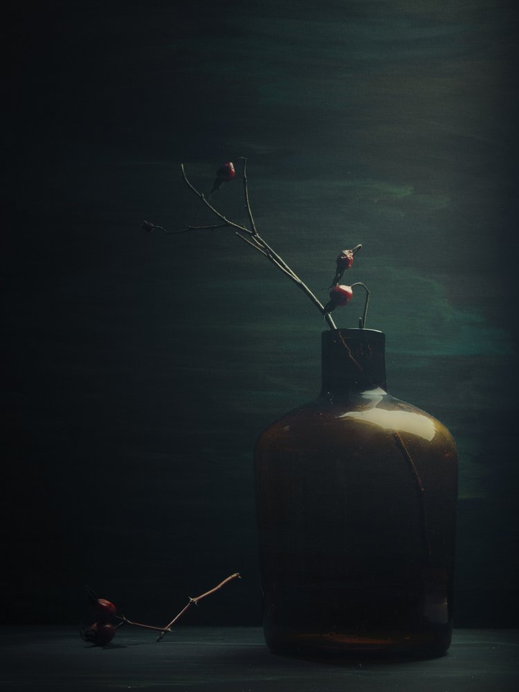 Garrafa «Quiet Rose Hips» de Vladimir Pavlovskyy