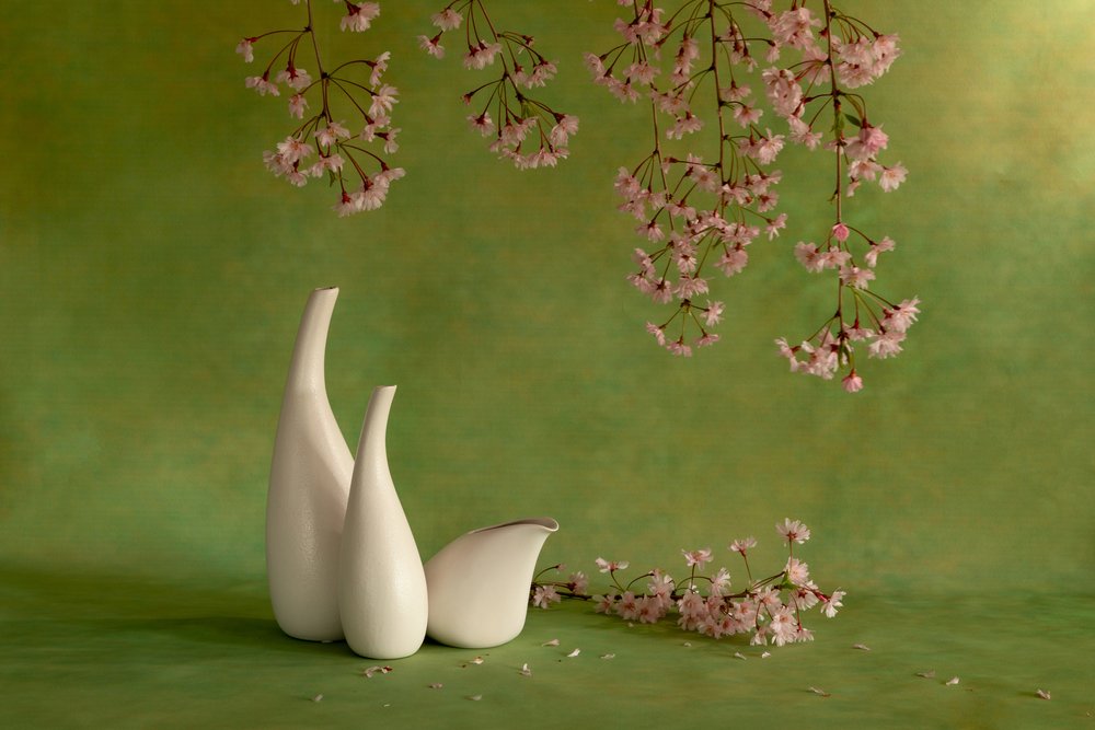  de Wendy Xu