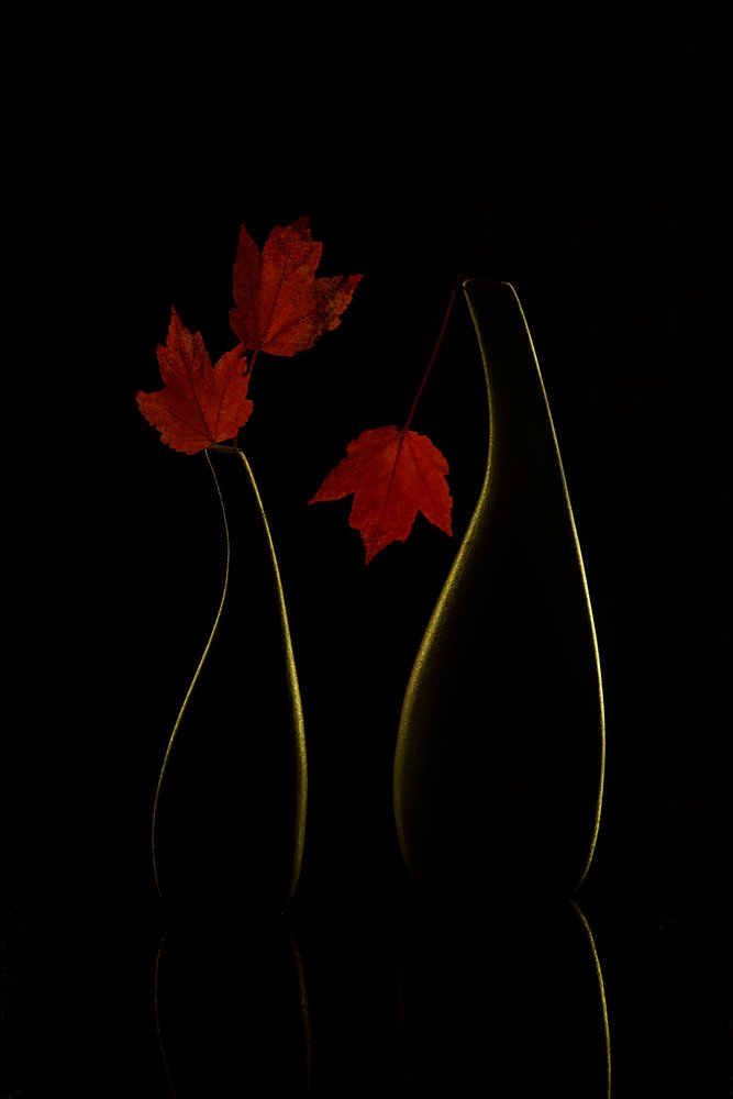  de Wendy Xu