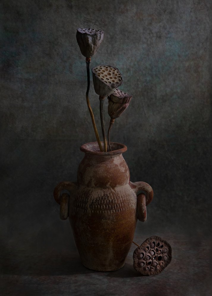  de Wendy Xu