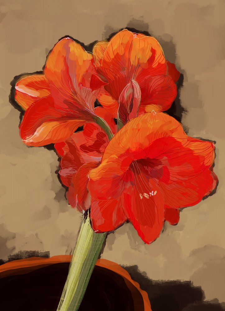 Vibrante flor de amarílis de XHOZUCAN