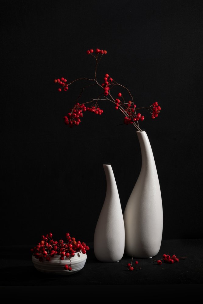 Natureza morta elegante com bagas de Xiaoyuan Xu