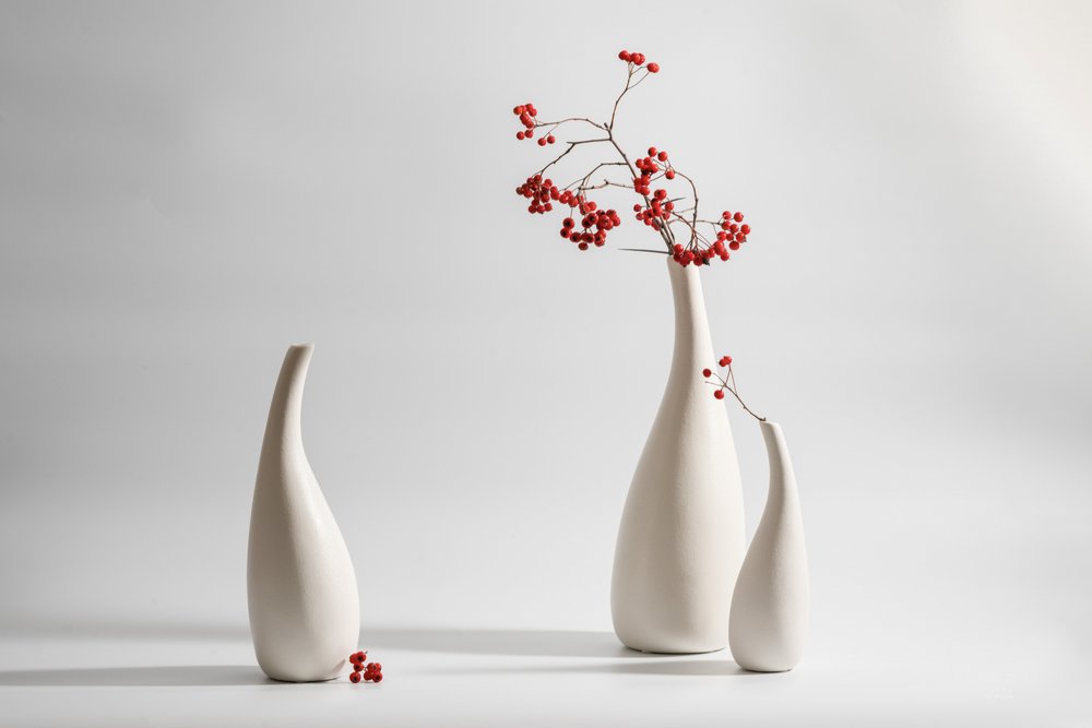 Vasos elegantes com bagas vermelhas de Xiaoyuan Xu