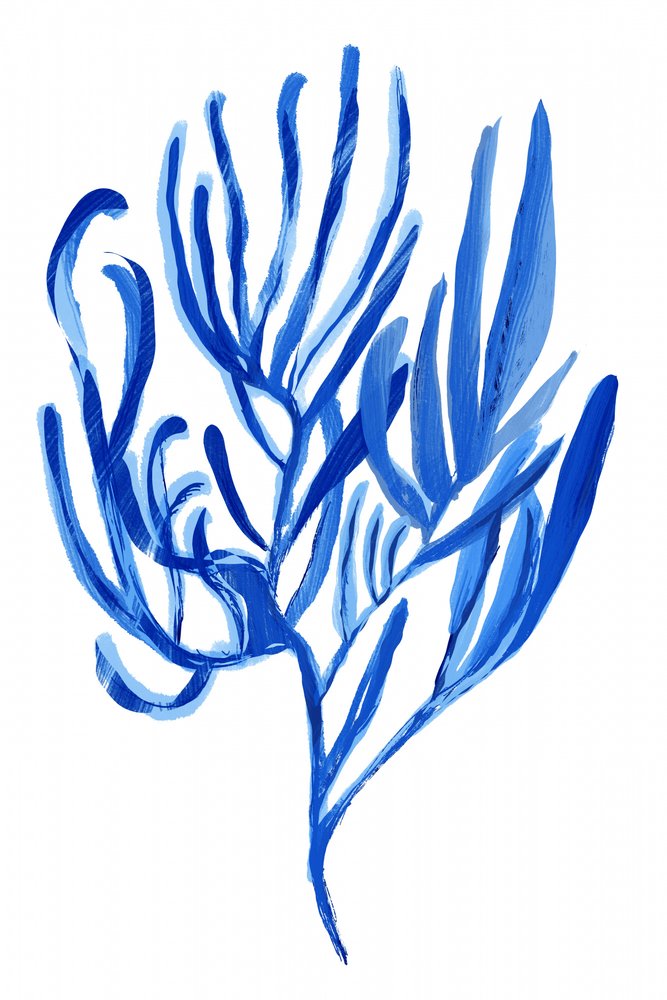Resumo: Coral Azul de cartissi