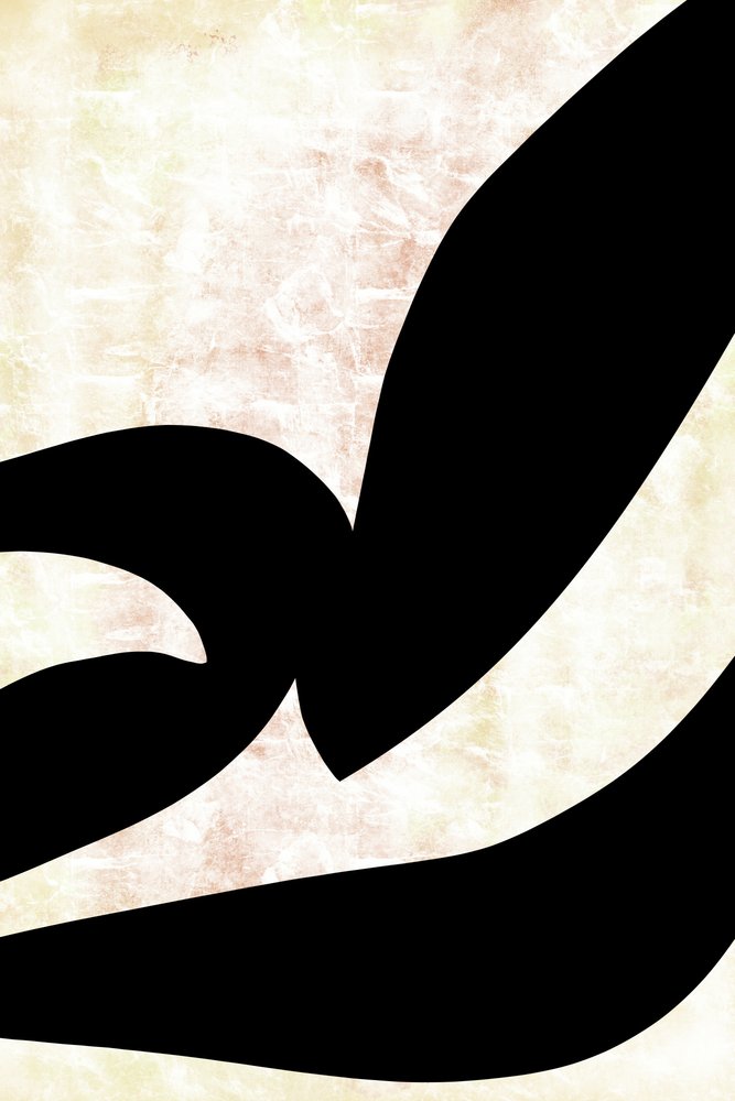 Curvas caligráficas abstratas de cartissi