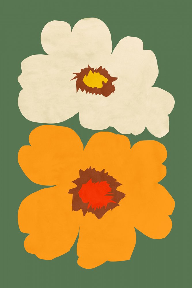 Arranjos florais abstratos de cartissi