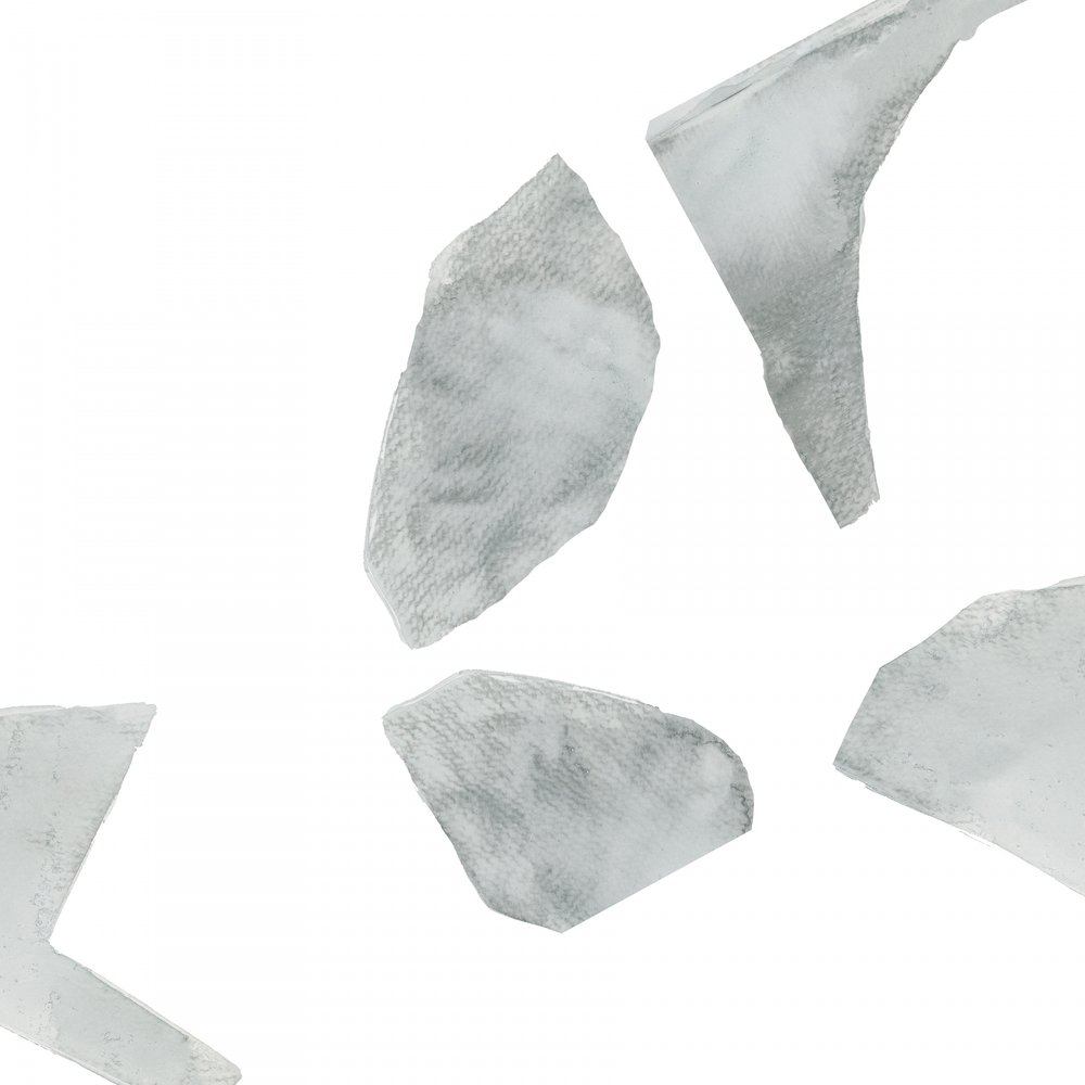 Fragmentos cinzentos abstratos de cartissi