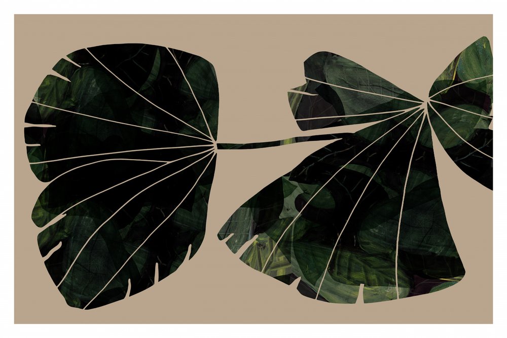 Folhas verdes abstratas de cartissi