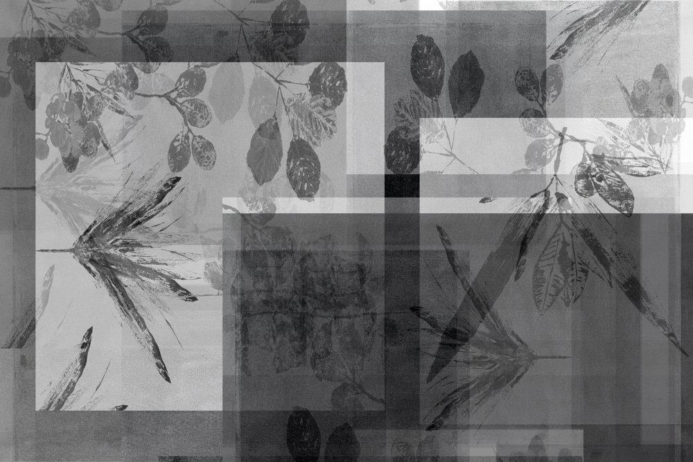 Folhagem cinzenta abstrata de cartissi
