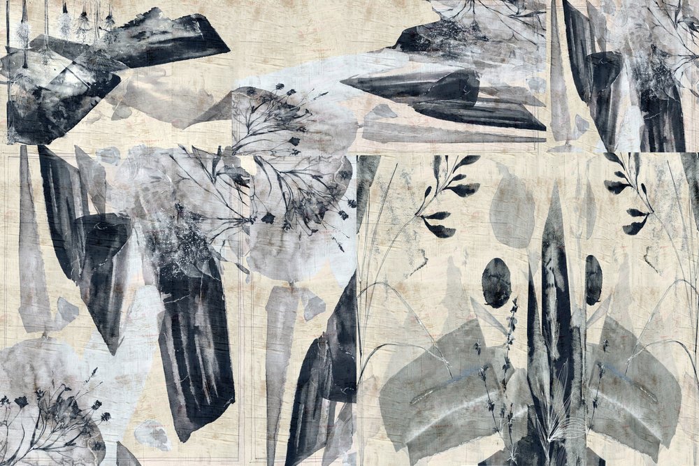 Formas Orgânicas Abstratas de cartissi