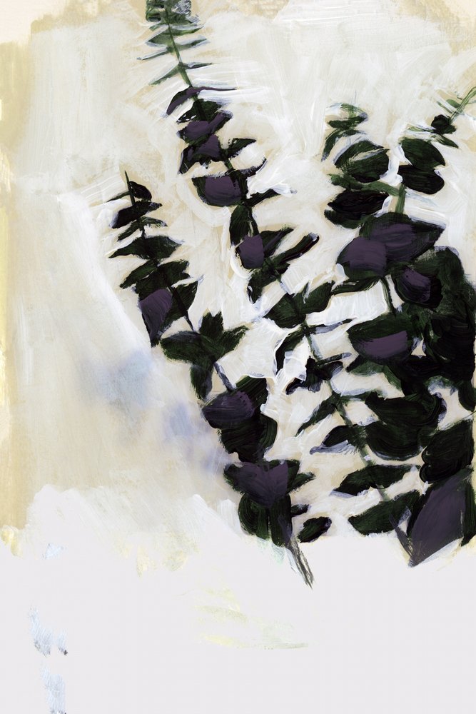 Folhagem roxa abstrata de cartissi