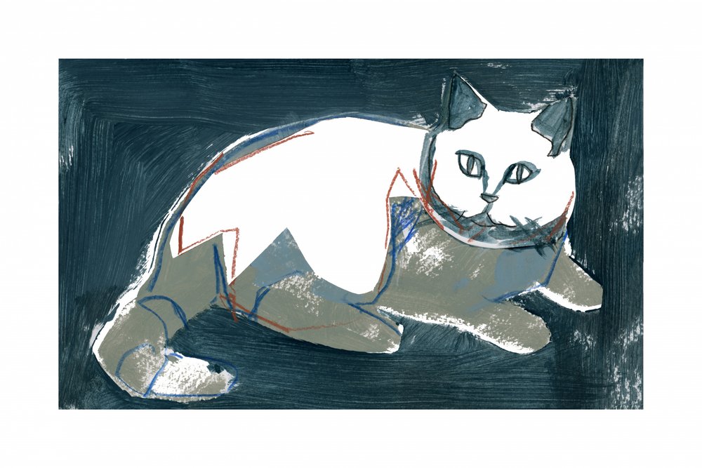 Gato Branco Artístico de cartissi