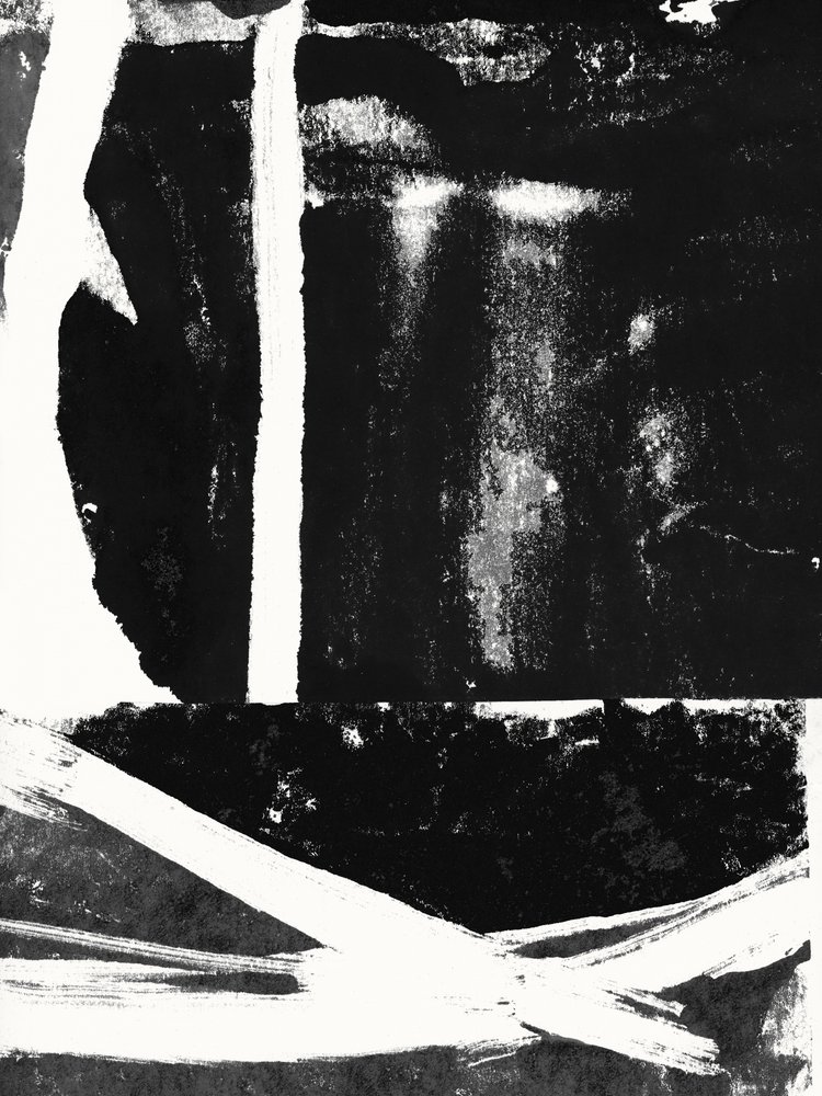 Traços abstratos em preto e branco de cartissi