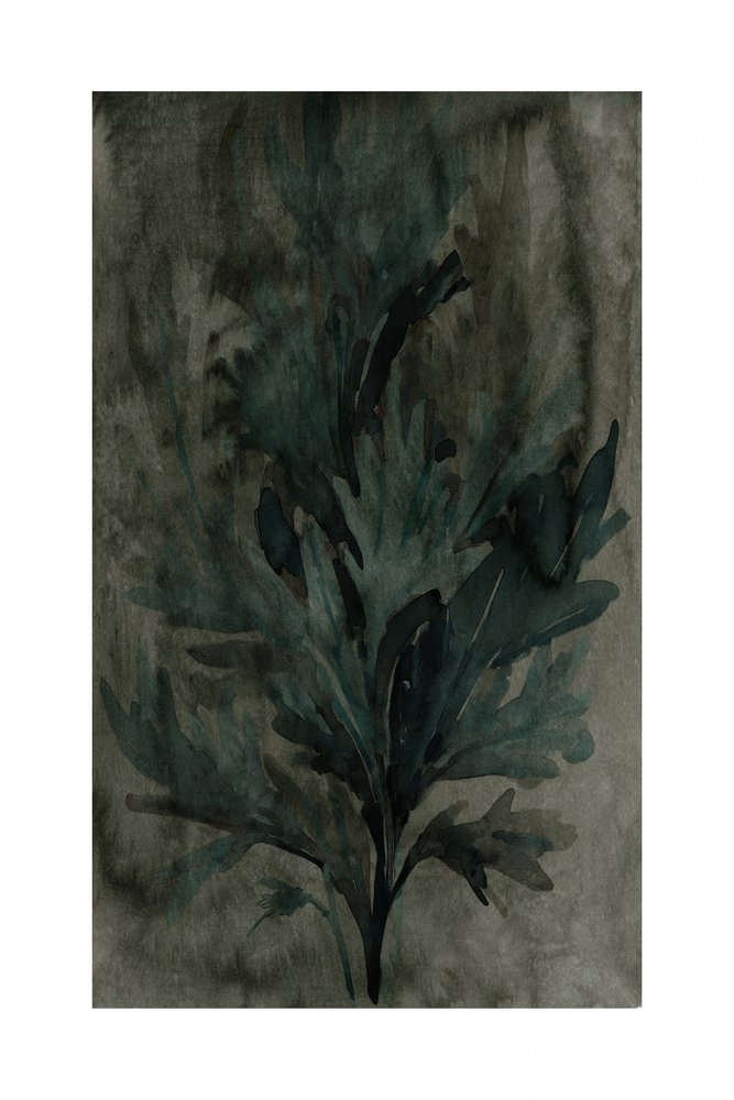 Folhagem verde-escura de cartissi
