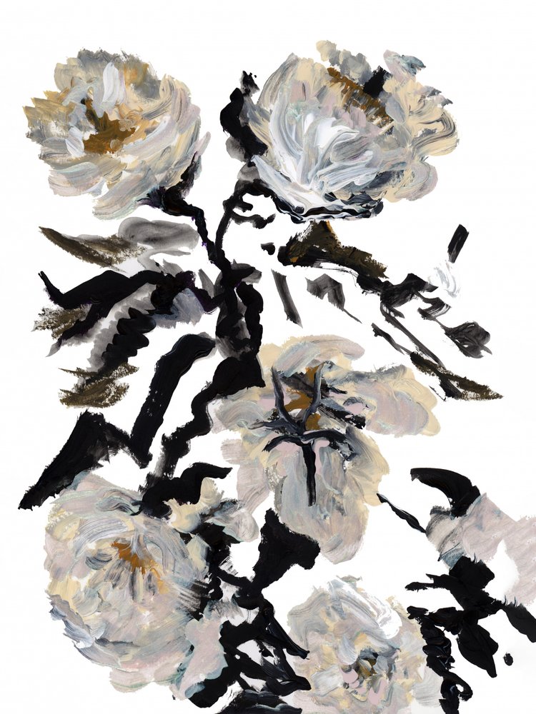 Abstrato floral dramático de cartissi