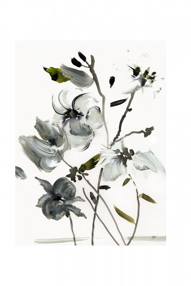 Flores abstratas elegantes de cartissi