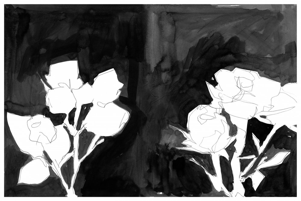 Flores noturnas elegantes de cartissi