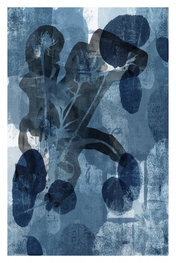 Indigo Dance Botânico de cartissi
