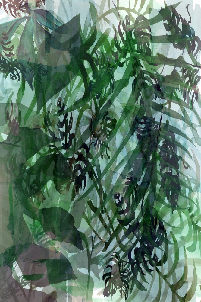 Vegetação tropical exuberante de cartissi