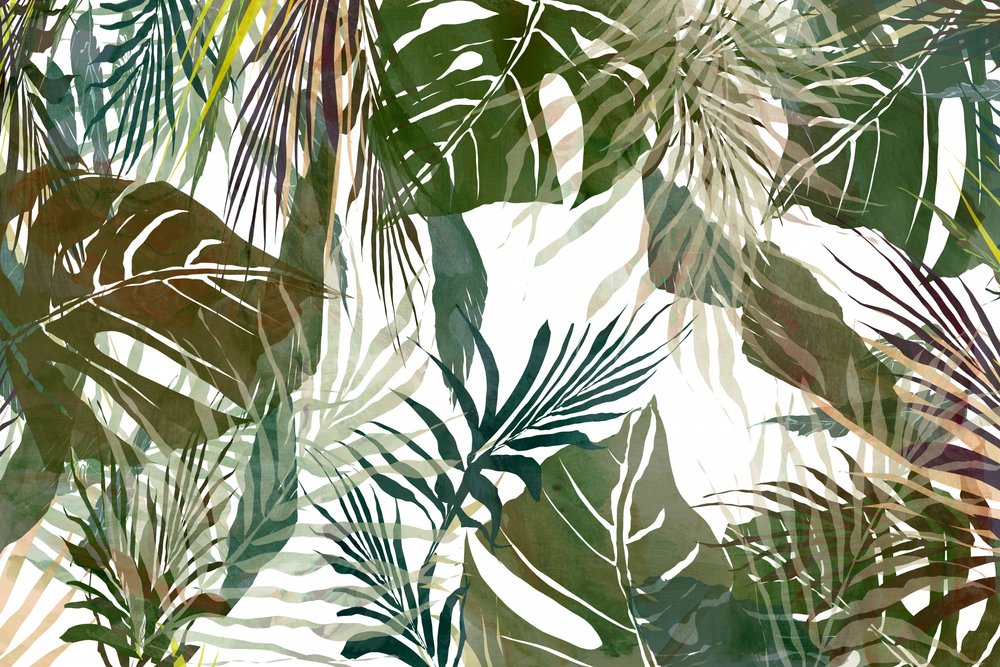  de cartissi