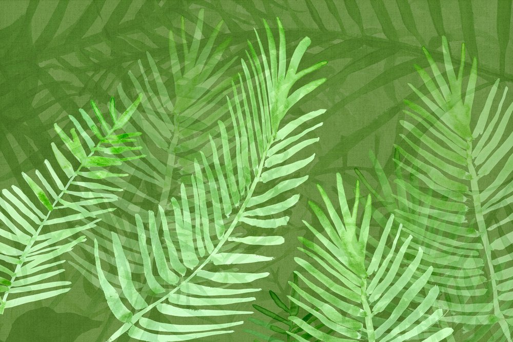 Folhas de palmeira tropical exuberantes de cartissi