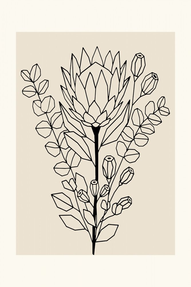 Protea e eucalipto minimalistas de cartissi