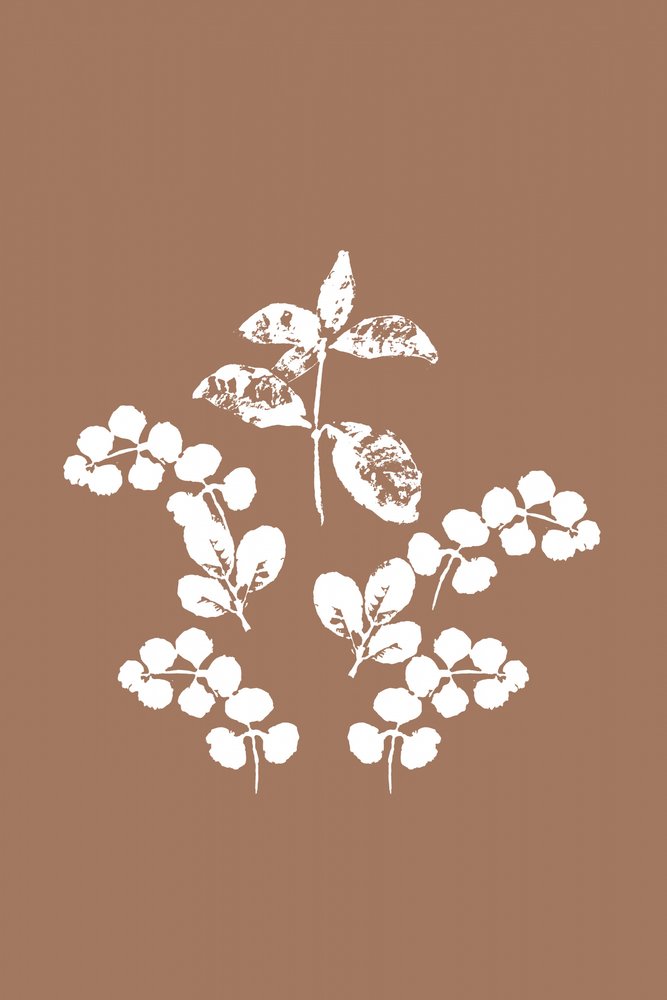 Folhas brancas minimalistas de cartissi