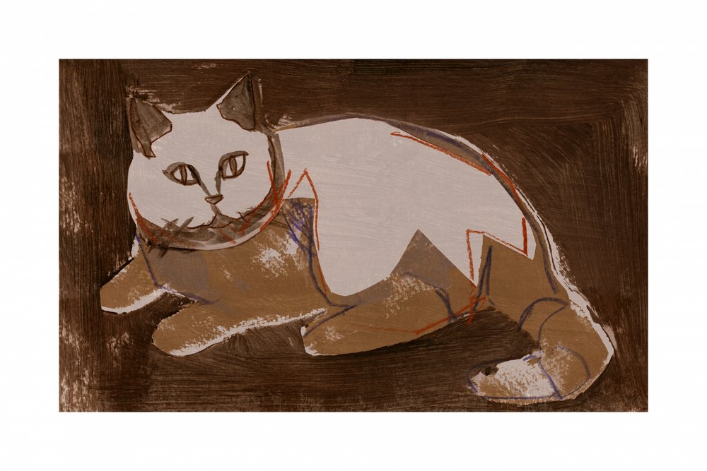 Gato moderno a descansar de cartissi